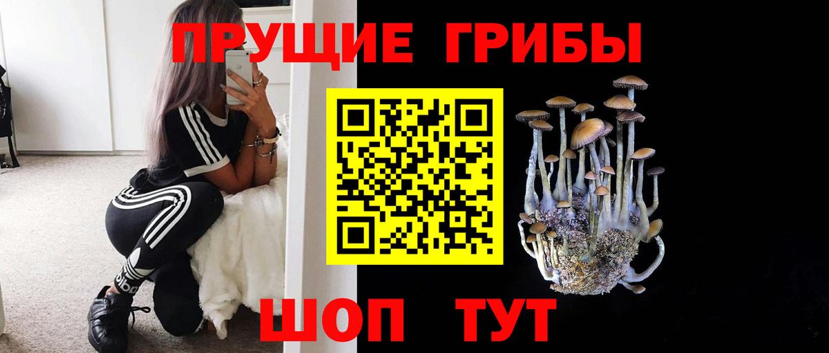 Москва  Галлюциногенные грибы прущие грибы  Вход с VPN 