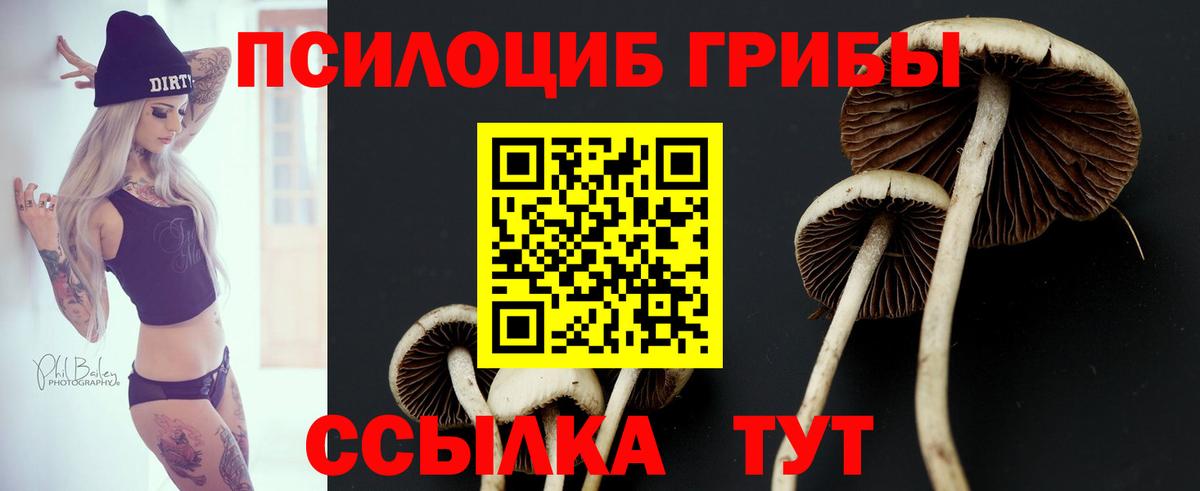 Галлюциногенные грибы MAGIC MUSHROOMS Москва